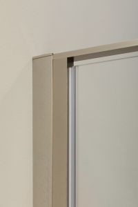 Душевая дверь Allen Brau Priority 120 3.31008.BA профиль Серебро