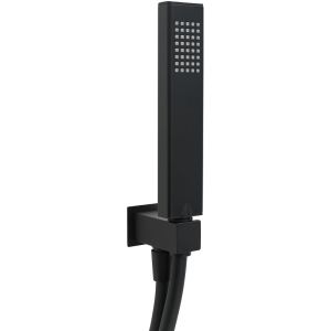 Душевая лейка Allen Brau Infinity 5.21021-31 Черный матовый