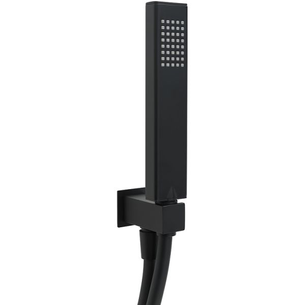 Душевая лейка Allen Brau Infinity 5.21021-31 Черный матовый
