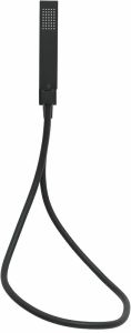 Душевая лейка Allen Brau Infinity 5.21021-31 Черный матовый