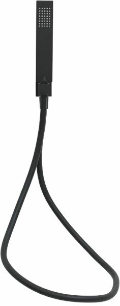 Душевая лейка Allen Brau Infinity 5.21021-31 Черный матовый