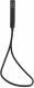 Душевая лейка Allen Brau Infinity 5.21021-31 Черный матовый