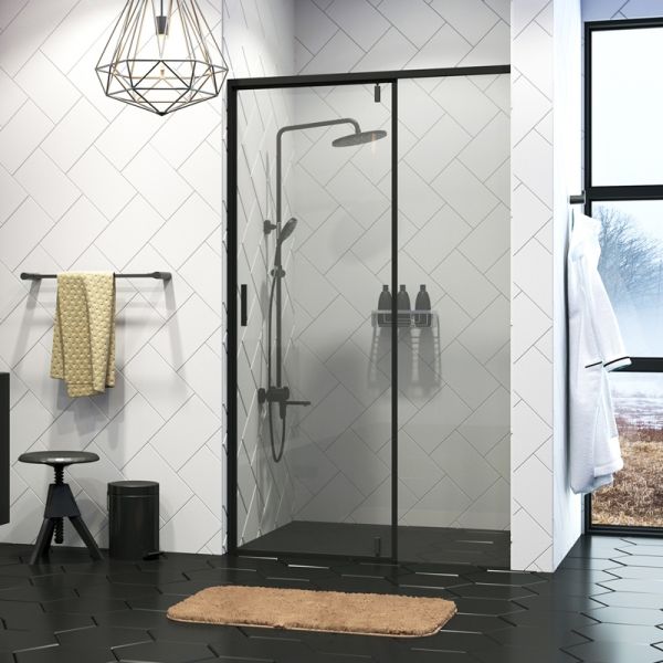 Душевая дверь Wasserkraft Elbe 74P12 100x200 см