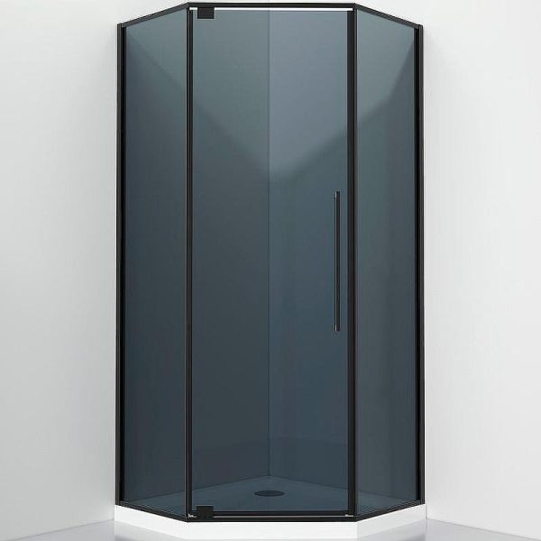 Душевой уголок Black&White Stellar Wind 8151000G 100x100 см профиль чёрный матовый стекло тонированное