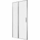 Душевая дверь Allen Brau Priority 100 3.31028.00 профиль Хром