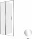 Душевая дверь Allen Brau Priority 100 3.31028.00 профиль Хром