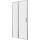 Душевая дверь Allen Brau Priority 100 3.31029.BA профиль Серебро браш
