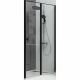 Душевая дверь Allen Brau Priority 100 3.31030.BBA профиль Черный браш