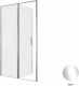 Душевая дверь Allen Brau Priority 120 3.31031.00 профиль Хром