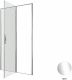 Душевая дверь Allen Brau Priority 120 3.31031.00 профиль Хром