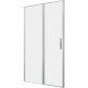 Душевая дверь Allen Brau Priority 120 3.31032.BA профиль Серебро браш
