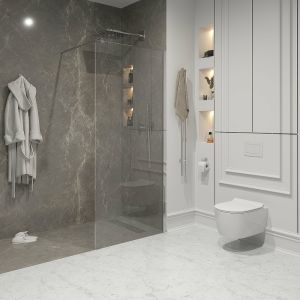 Душевая перегородка Niagara NG-663-70 70см хром/прозрачное