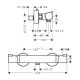 Смеситель для душа Hansgrohe RainSelect 13116700