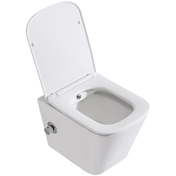 Унитаз подвесной BelBagno Due BB3103CHR-BS/SC с сиденьем Микролифт Унитаз подвесной BelBagno Due BB3103CHR-BS/SC с сиденьем Микролифт