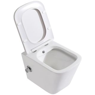 Унитаз подвесной BelBagno Due BB3103CHR-BS/SC с сиденьем Микролифт Унитаз подвесной BelBagno Due BB3103CHR-BS/SC с сиденьем Микролифт