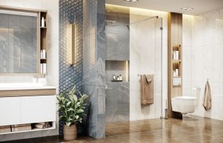 Душевая перегородка Ambassador Walk-in 15031107 110см хром/прозрачное