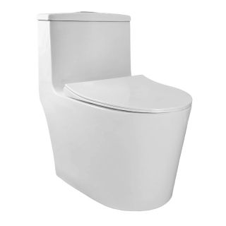 Унитаз-моноблок Azario Bais AZ-5003 безободковый белый