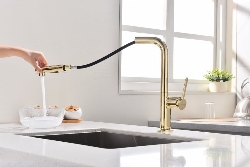 Смеситель для кухни Paulmark Neo Ne214419-G золото