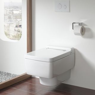 Пластиковая панель для подвесного унитаза TOTO SG 9AE0017 белый Пластиковая панель для подвесного унитаза TOTO SG 9AE0017 белый