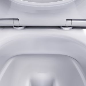 Унитаз подвесной  Damixa TITAN DX78C1700SC безободковый с сиденьем микролифт