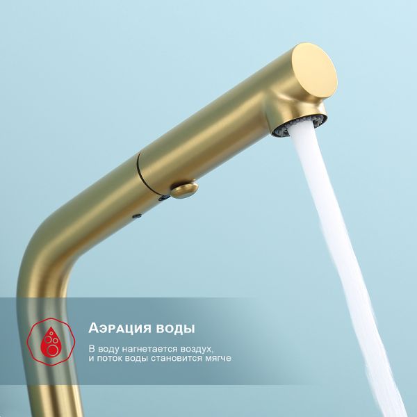 Смеситель для кухни Raglo R86.49.03 с выдвижным изливом золотой сатин