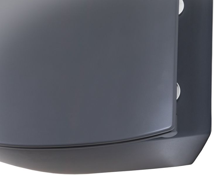 Подвесной унитаз Allen Brau Fantasy 4.11004.AN безободковый антрацит