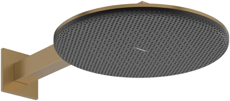 Верхний душ Hansgrohe Raindance Alive S 24540140 шлифованная бронза
