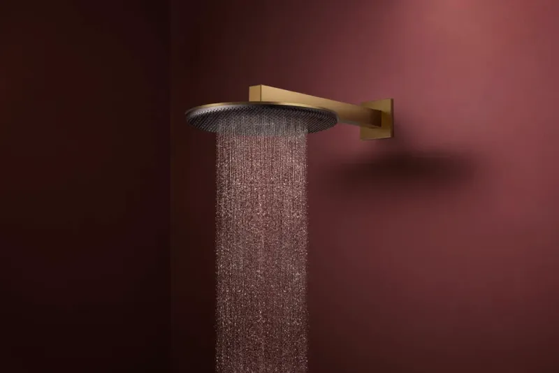 Верхний душ Hansgrohe Raindance Alive S 24540140 шлифованная бронза