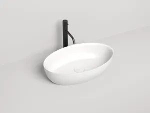 Накладная раковина Salini Alda 01 S-Sense 110611GRF 58см RAL полностью