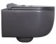 Подвесной унитаз Allen Brau Priority 4.31002.AN антрацит