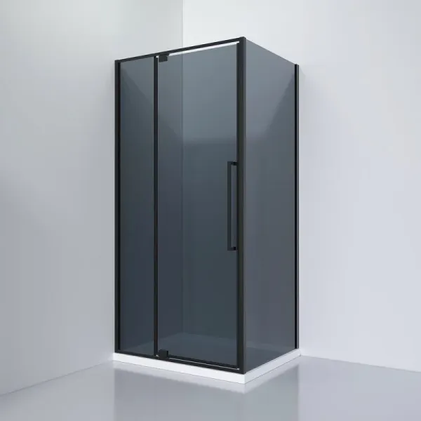 Душевой уголок Black&White Stellar Wind 8181000G 100x80 см профиль чёрный матовый стекло тонированное