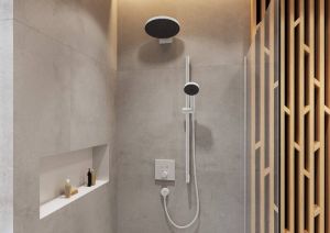 Держатель верхнего душа Hansgrohe Pulsify 24149700 белый матовый