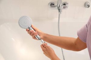 Ручной душ Hansgrohe Vernis Blend 26340000 хром