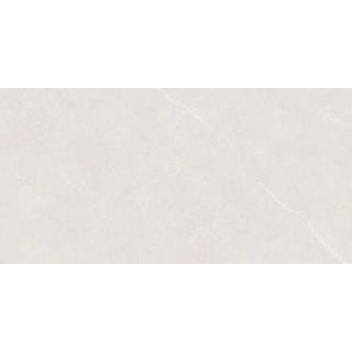 Керамогранит Протайлс PT12F7046 Alicante light grey PT12F7046 60х120 (1,44м2/47,52м2/33упак)