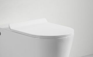 Крышка-сиденье Cerutti Spa CT7848 белая