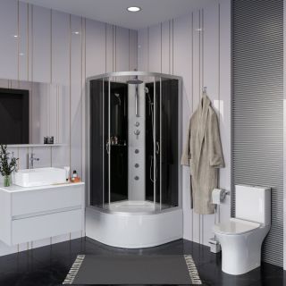 Душевая кабина Niagara NG-2509-14BKTG с гидромассажем 100x100см серебро/тонированное