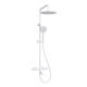 Душевая стойка WasserKRAFT Mindel Thermo A188.257.155.WM T с термостатом белый матовый