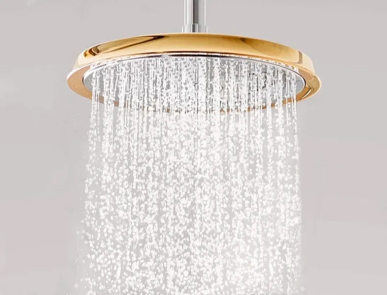 Верхний душ Hansgrohe Raindance Classic 27405090 Хром Золото