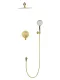 Душевой комплект Wonzon & Woghand Brilliant WW-88939079-BG брашированное золото
