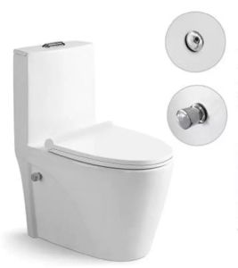 Унитаз-компакт SantiLine SL-5012SM-BD с функцией биде и встроенным смесителем белый