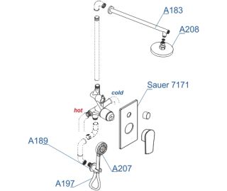 Душевой комплект WasserKRAFT Sauer A71207 золото