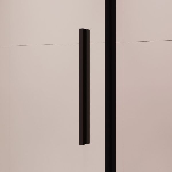 Душевой уголок RGW LE-41B LE-12B + Z-050-2B 34124187-014 170x80 см профиль чёрный стекло прозрачное