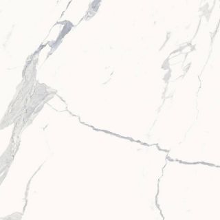 Керамогранит Италон 600010002386 Стеллариус Стат.Уайт 120x120