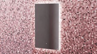 Зеркало с подсветкой Salini Ombra 27M018090BH 80см Зеркало с подсветкой Salini Ombra 27M018090BH 80см