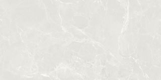 Керамогранит Artkera Group Мирабэль светло-серый / Mirabel light grey 60120MIB05P 600x1200х7 полированный