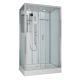 Душевая кабина Niagara Premium NG-6012-01GQR 120х80 см