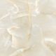Керамогранит LCM 6060TLN01P Талисман Оникс кремовый / Talisman Onyx Crema полированный 600х600