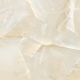 Керамогранит LCM 6060TLN01P Талисман Оникс кремовый / Talisman Onyx Crema полированный 600х600
