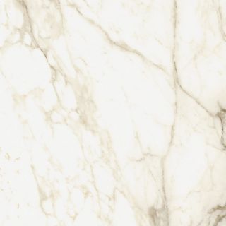Керамогранит Coliseumgres 610010002748 Микеланджело Ворм 60x60
