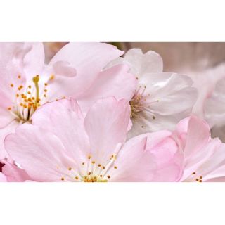 Декор BELLEZA ативный 07-00-5-09-01-41-663 массив Букет розовый (07-00-5-09-01-41-663) 25х40 (15шт)